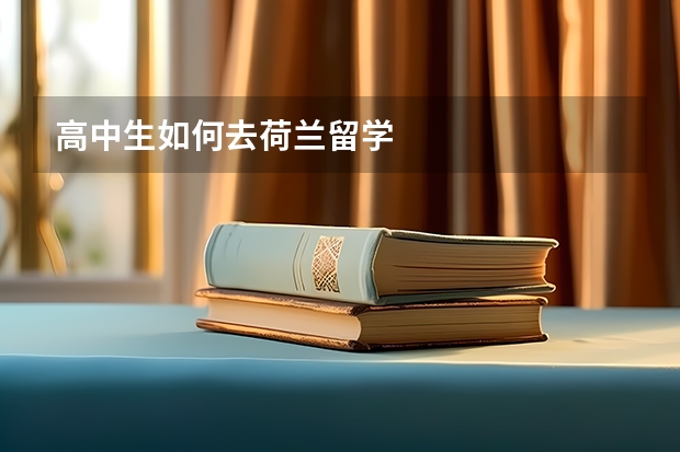 高中生如何去荷兰留学