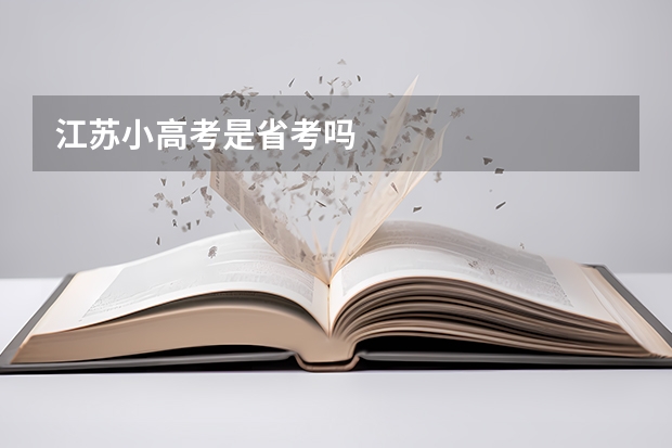 江苏小高考是省考吗