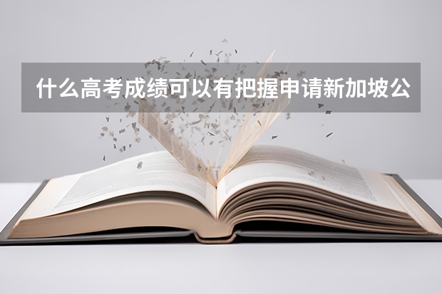 什么高考成绩可以有把握申请新加坡公立大学?