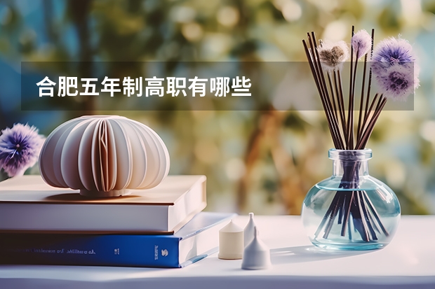 合肥五年制高职有哪些